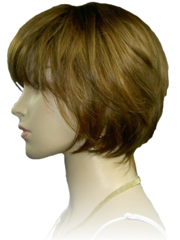 hair wig in Howrah