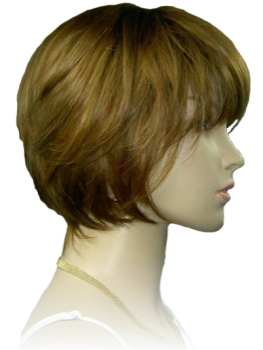 hair wig in Howrah